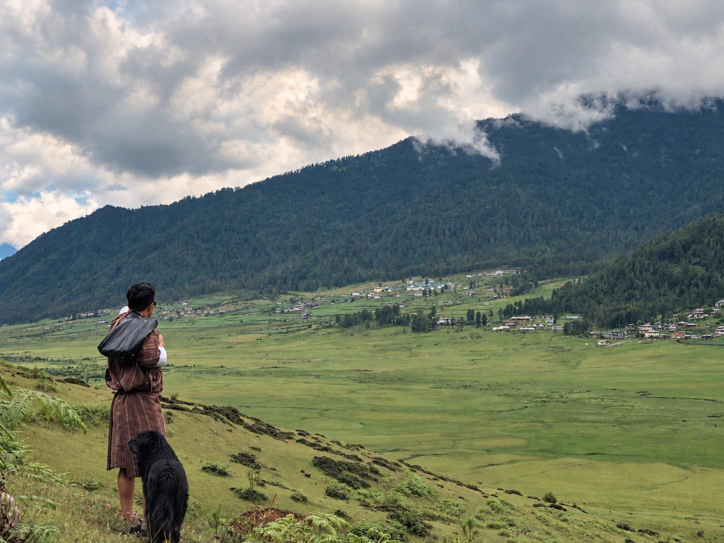 A traveler and dog looking across the green Phobjikha Valley
